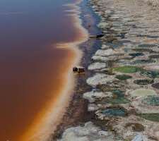 Salton was declared as The Public health Disaster Lake.